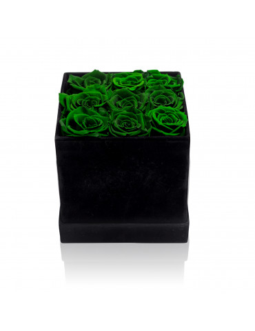 Cubo con Rose Verdi Stabilizzate