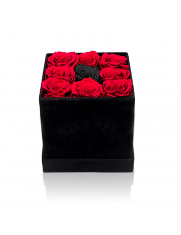 Box Elegante con Rose Rosse...