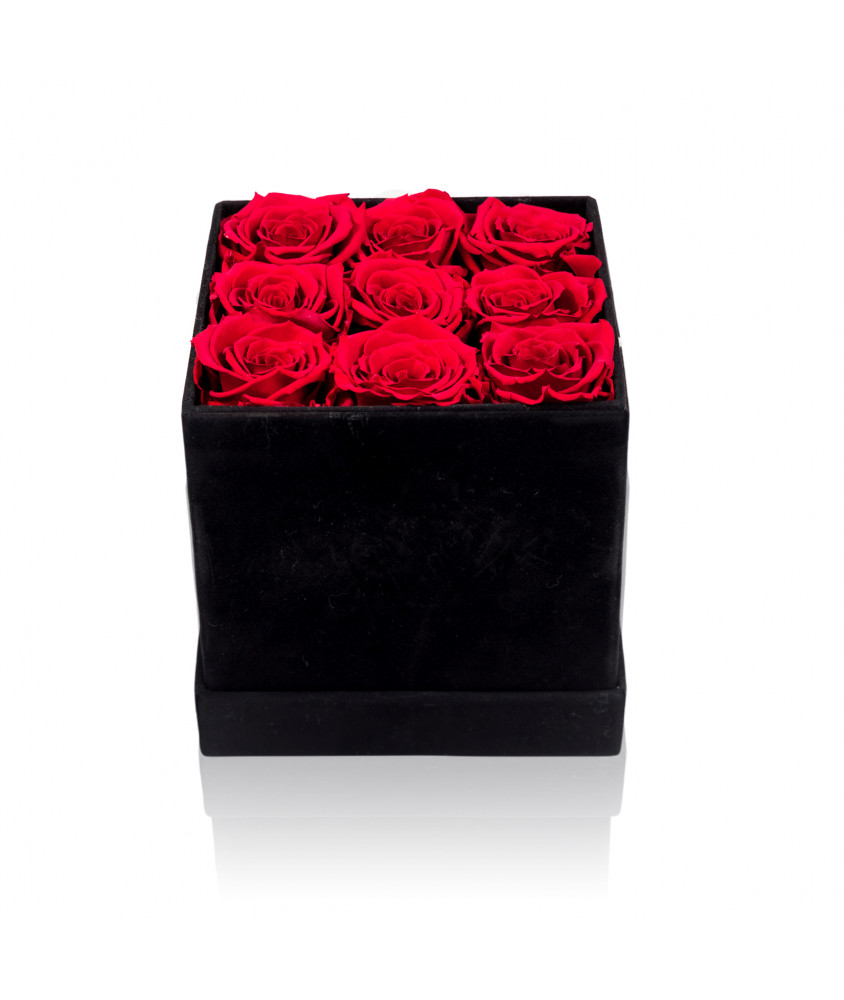 Cubo con Rose Rosse Stabilizzate