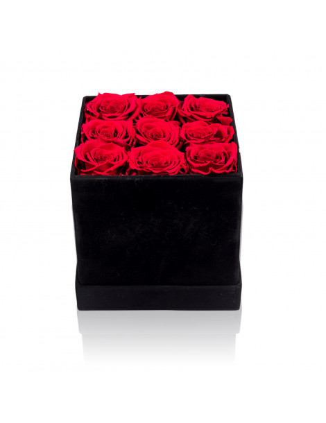 Cubo con Rose Rosse Stabilizzate