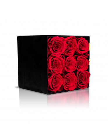 Cubo con Rose Rosse Stabilizzate