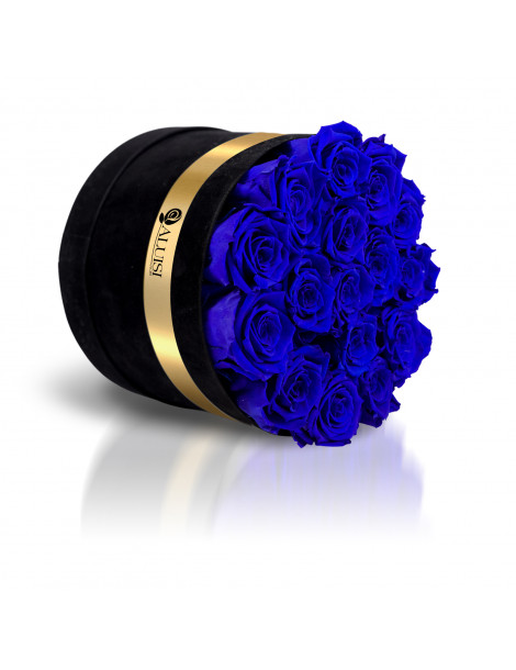 12 Rose Blu Stabilizzate - In Cilindro - Consegna Gratis