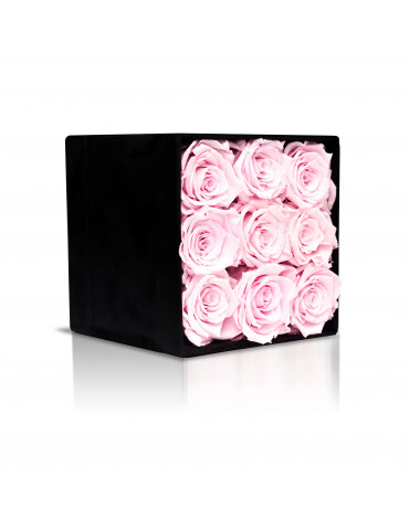 Cubo Con Rose Pink Stabilizzate