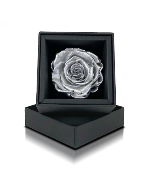 Cubo Rosa Argento Stabilizzata - Fiori Aluisi