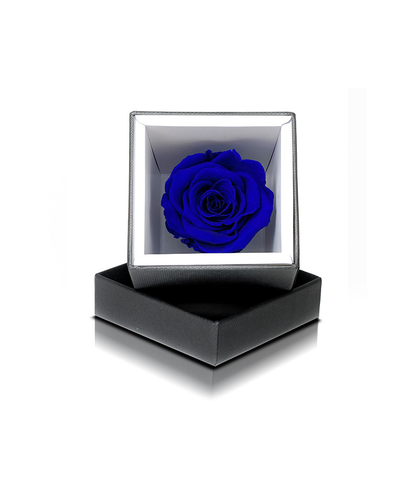 Rosa Stabilizzata Blu