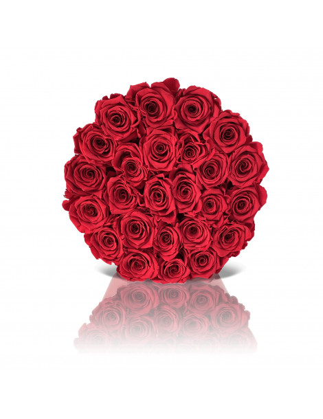 25 Rose Rosse Stabilizzate