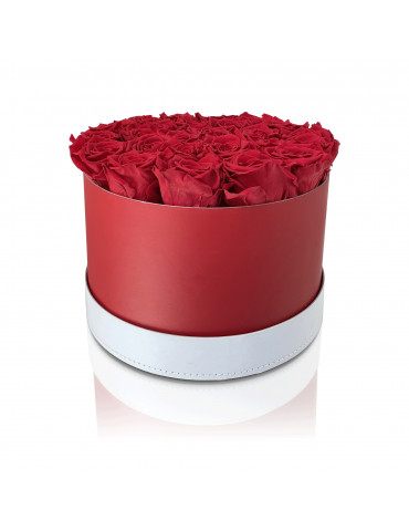 25 Rose Rosse Stabilizzate