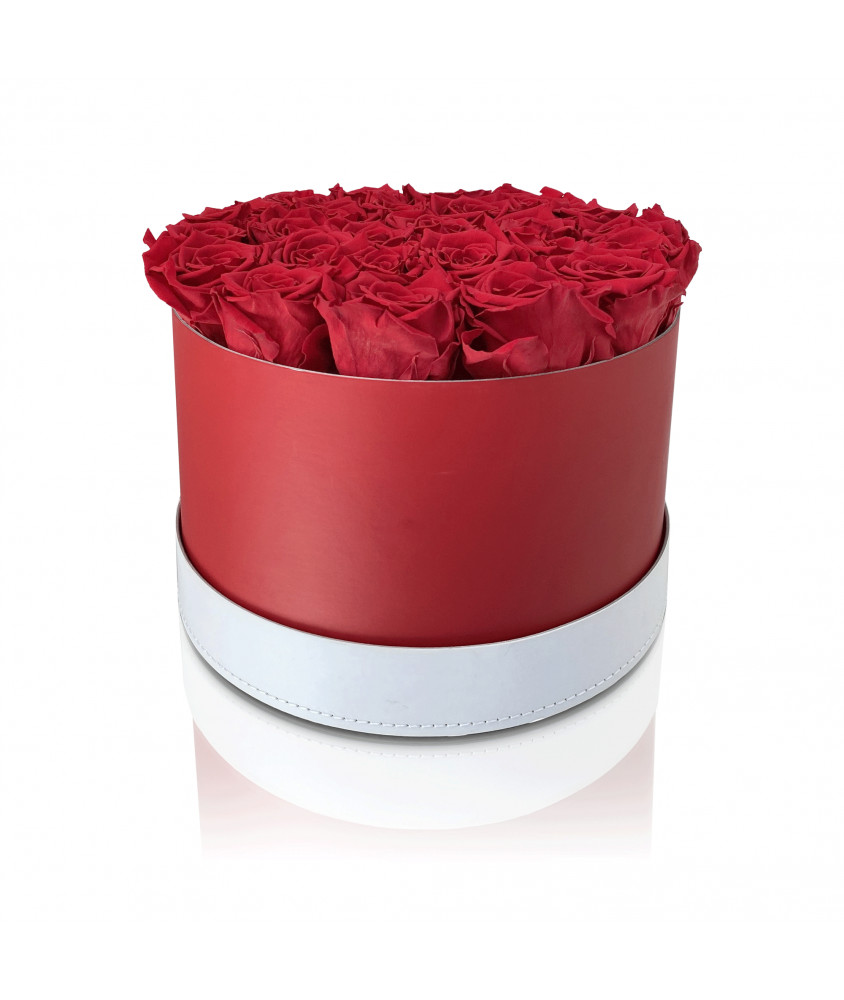 25 Roes 25 Rose Rosse Stabilizzate - Omaggio Floreale Online - Aluisi Fiori
