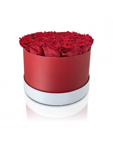 25 Rose Rosse Stabilizzate