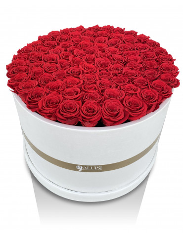 100 Rose Rosse Stabilizzate