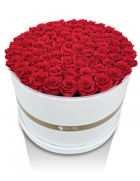 100 Rose Rosse Stabilizzate