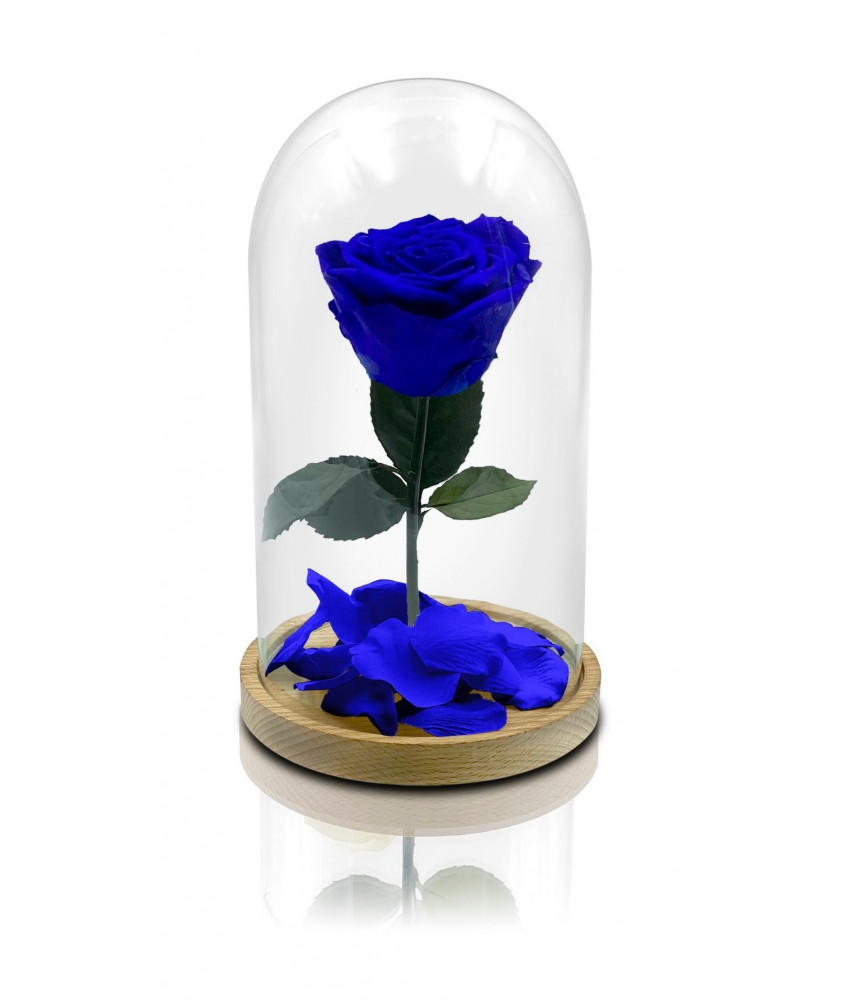 12 Rose Blu Stabilizzate - In Cilindro - Consegna Gratis