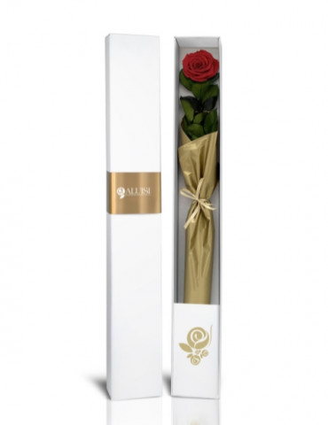 San Valentino Regalo Box 24 Rose stabilizzate 27x27x25cm LOVE IS