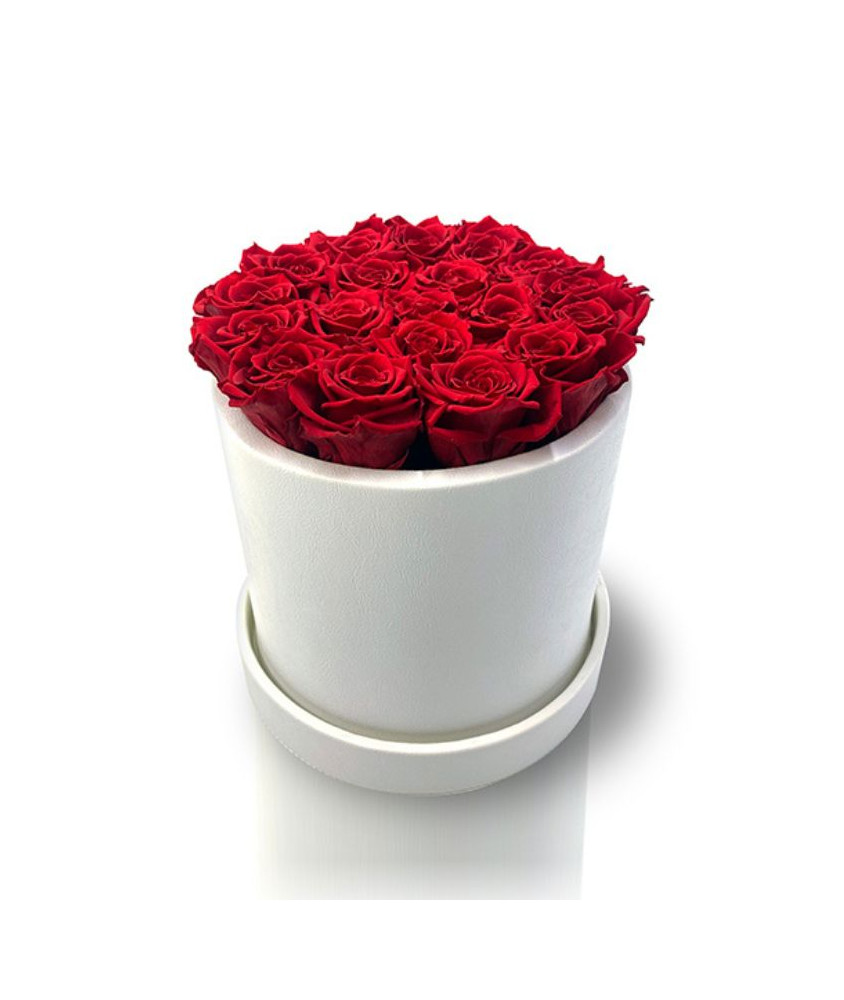 Importante Flower Box con Rose Stabilizzate Rosse