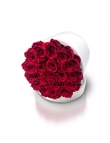 Importante Flower Box con Rose Stabilizzate Rosse