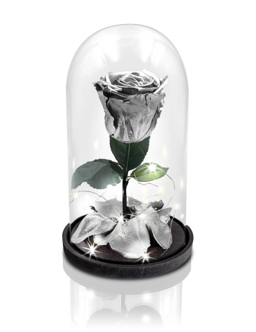 Rosa La Bella e La Bestia Argento