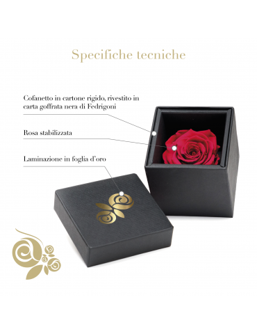 Rosa Stabilizzata Rossa