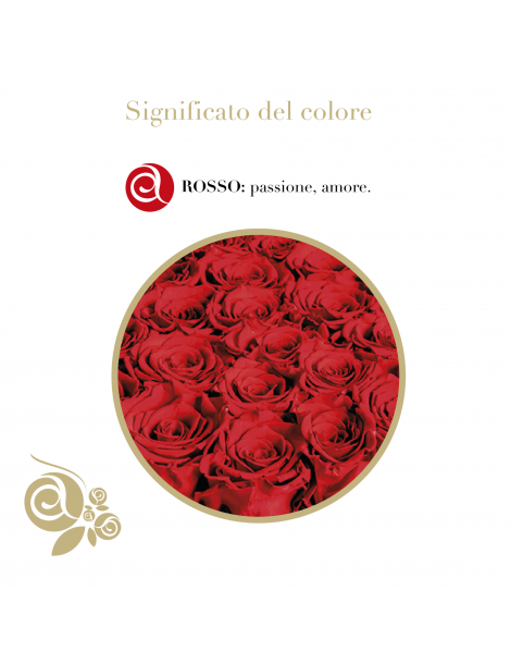 Rosa Stabilizzata Rossa