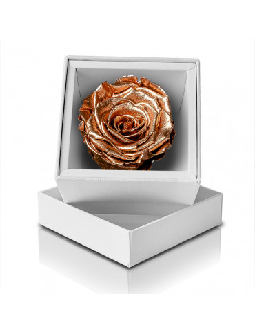 Rosa Stabilizzata Rame