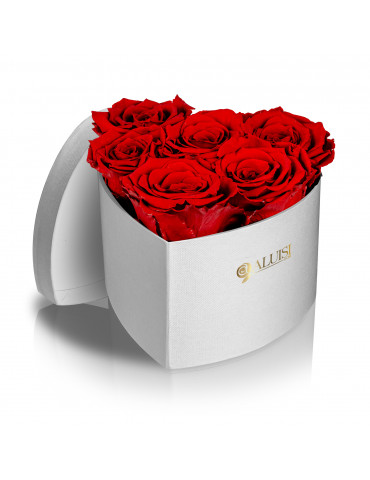 Cuore 6 rose stabilizzate...