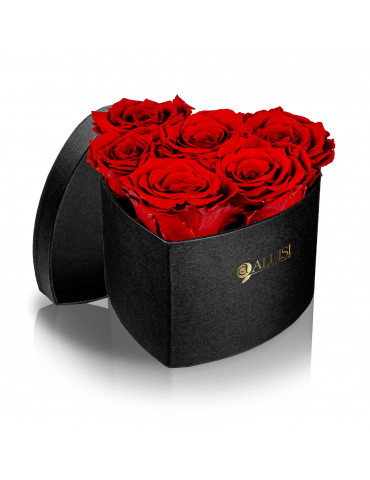 Cuore 6 rose stabilizzate rosse