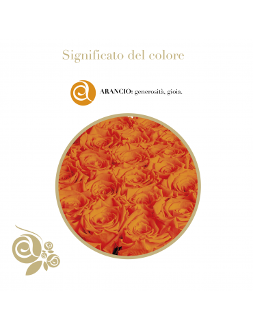Cuore 6 Rose Arancioni Stabilizzate