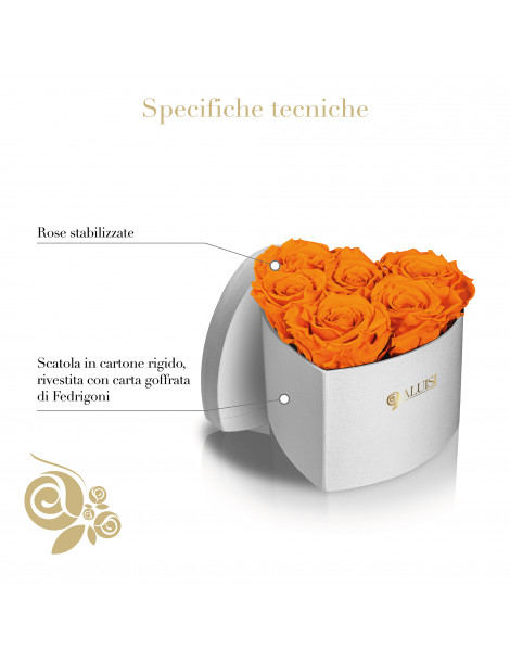 Cuore 6 Rose Arancioni Stabilizzate