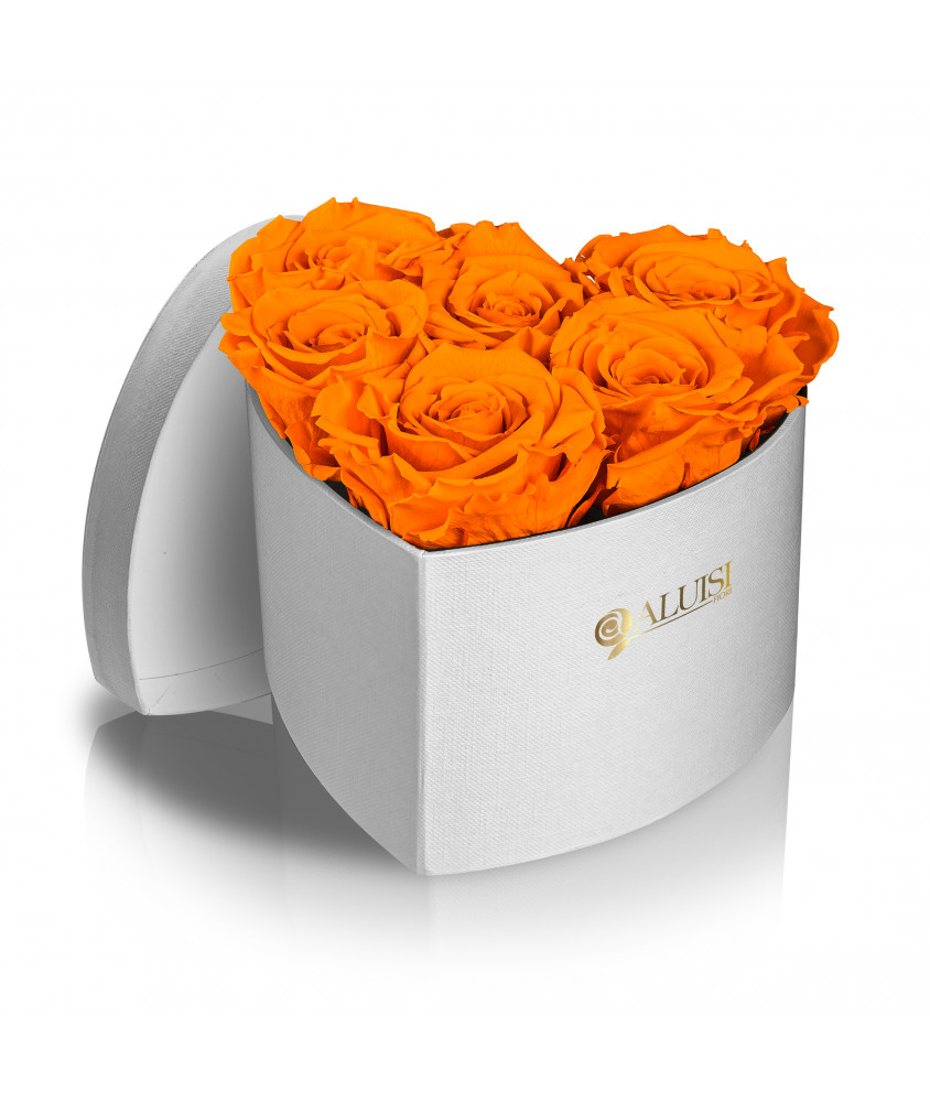Cuore 6 Rose Arancioni Stabilizzate