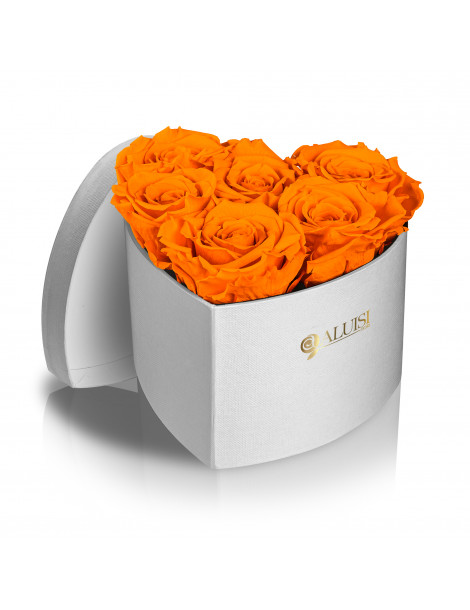 Cuore 6 Rose Arancioni Stabilizzate
