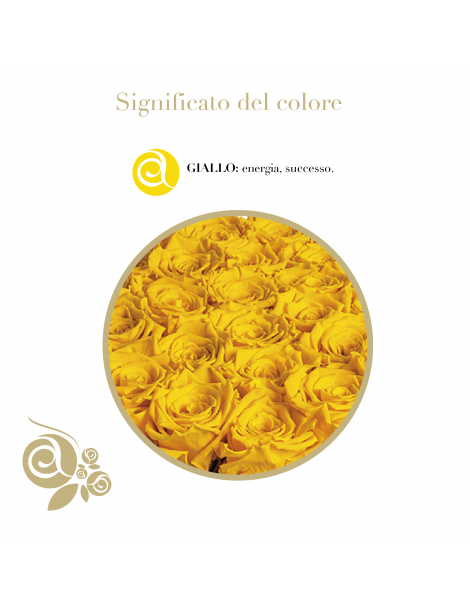 Cuore 6 Rose Gialle Stabilizzate
