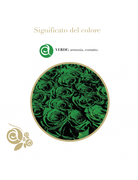 Cuore 6 Rose Verdi Stabilizzate
