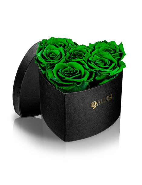 Cuore 6 Rose Verdi Stabilizzate