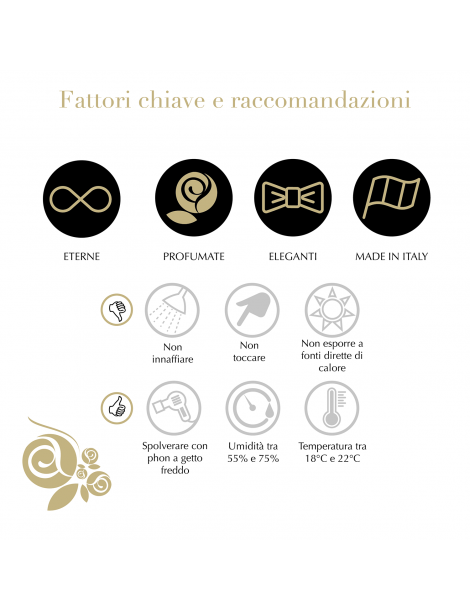 Cuore 6 Rose Verdi Stabilizzate