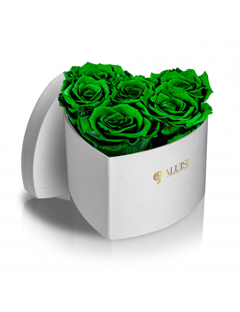 Cuore 6 Rose Verdi Stabilizzate