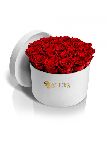 20 Rose Rosse Stabilizzate