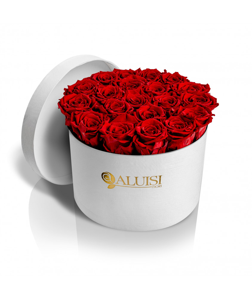 20 Rose Rosse Stabilizzate