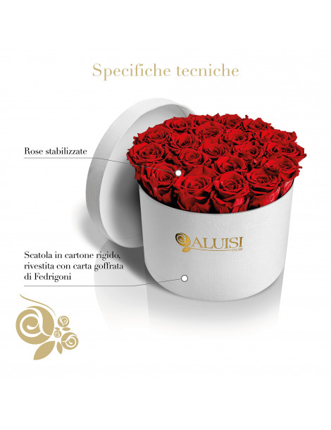 20 Rose Rosse Stabilizzate