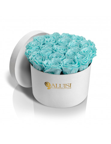 20 Rose Tiffany Stabilizzate