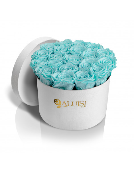 20 Rose Tiffany Stabilizzate