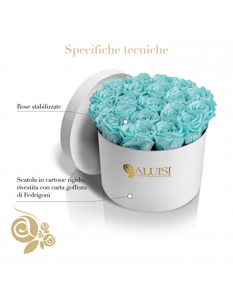 20 Rose Tiffany Stabilizzate