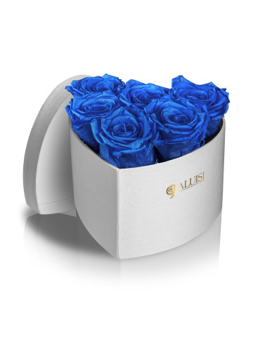 Cuore 6 Rose Blu Stabilizzate