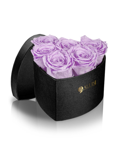 Cuore 6 Rose Viola Stabilizzate
