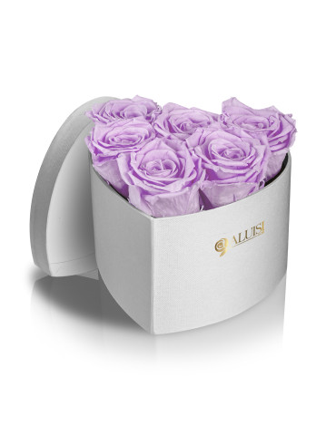 Cuore 6 Rose Viola...