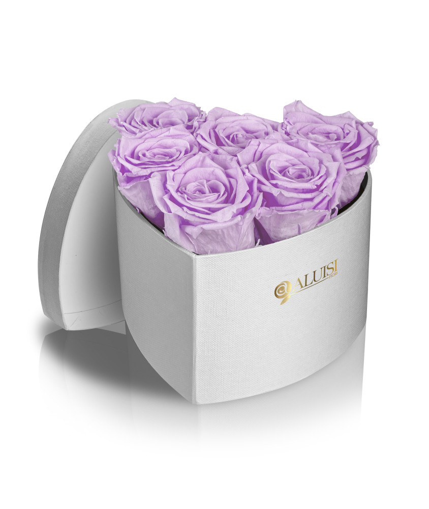 Cuore 6 Rose Viola Stabilizzate