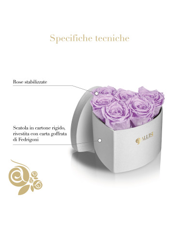 Cuore 6 Rose Viola Stabilizzate