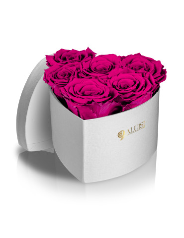 Cuore 6 Rose Fucsia...