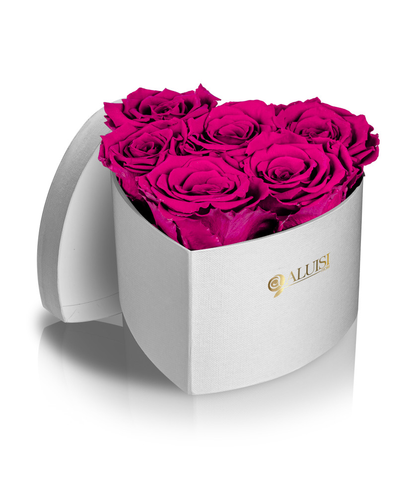 Cuore 6 Rose Fucsia Stabilizzate