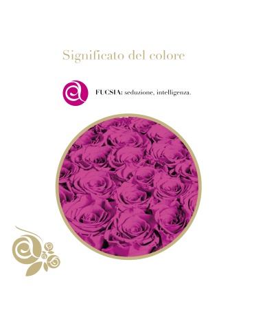 Cuore 6 Rose Fucsia Stabilizzate