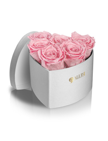 Cuore 6 Rose Rosa Stabilizzate