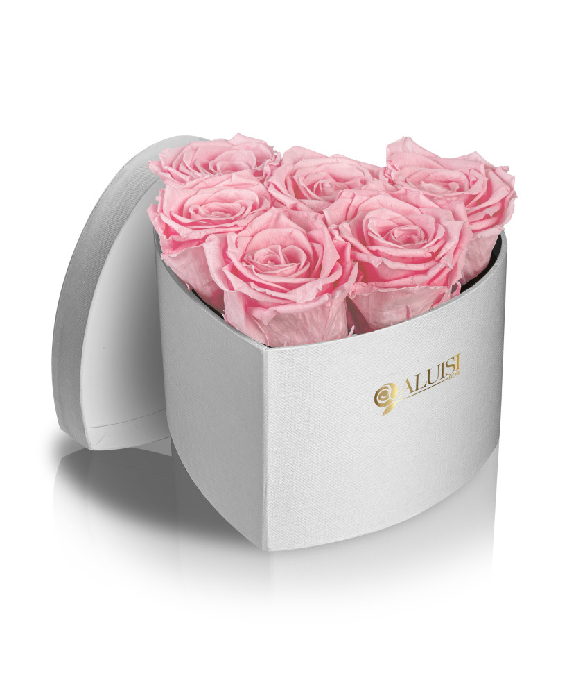 Cuore 6 Rose Rosa Stabilizzate